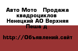 Авто Мото - Продажа квадроциклов. Ненецкий АО,Верхняя Пеша д.